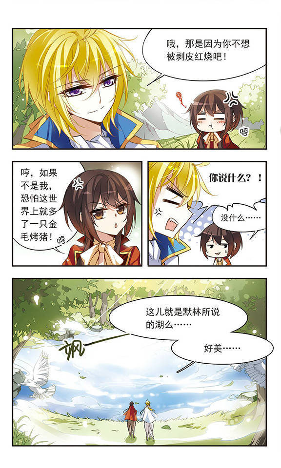 6.jpg