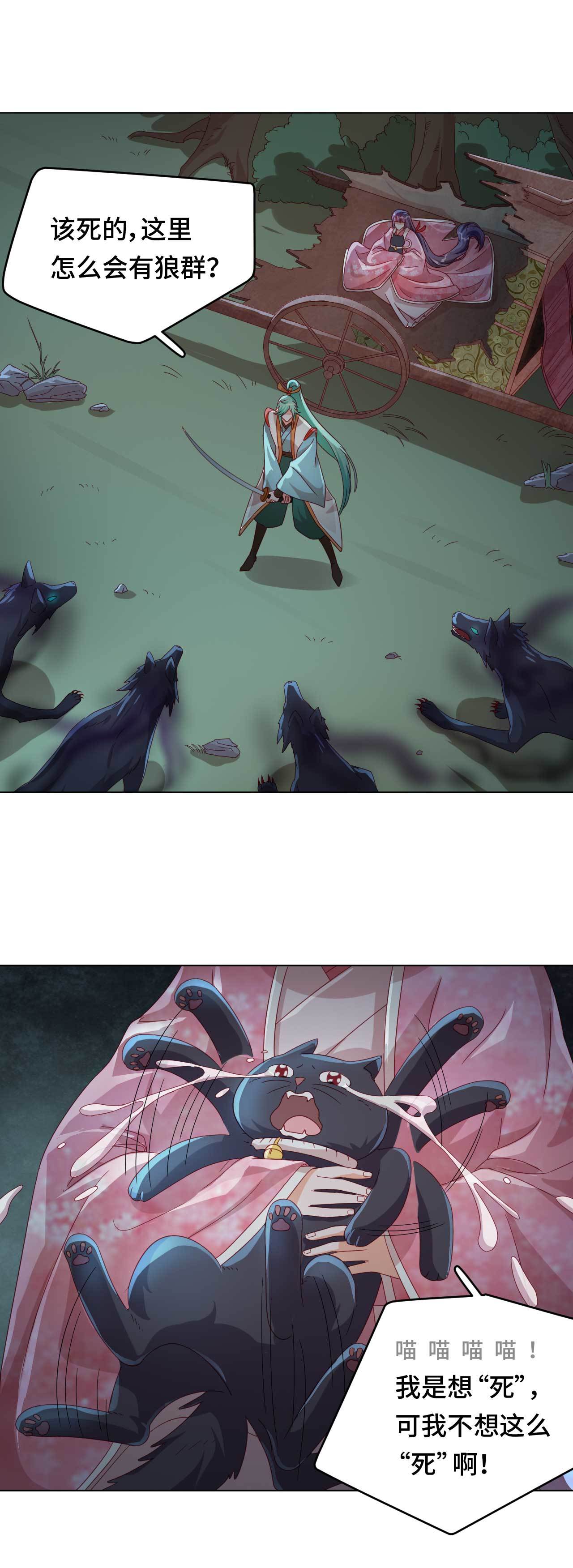14.jpg