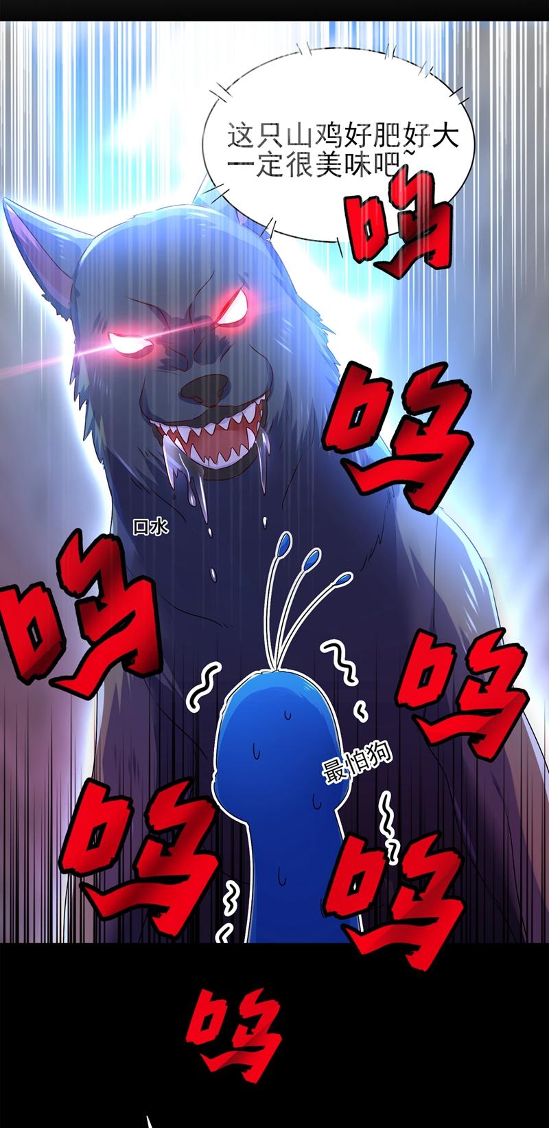 5.jpg