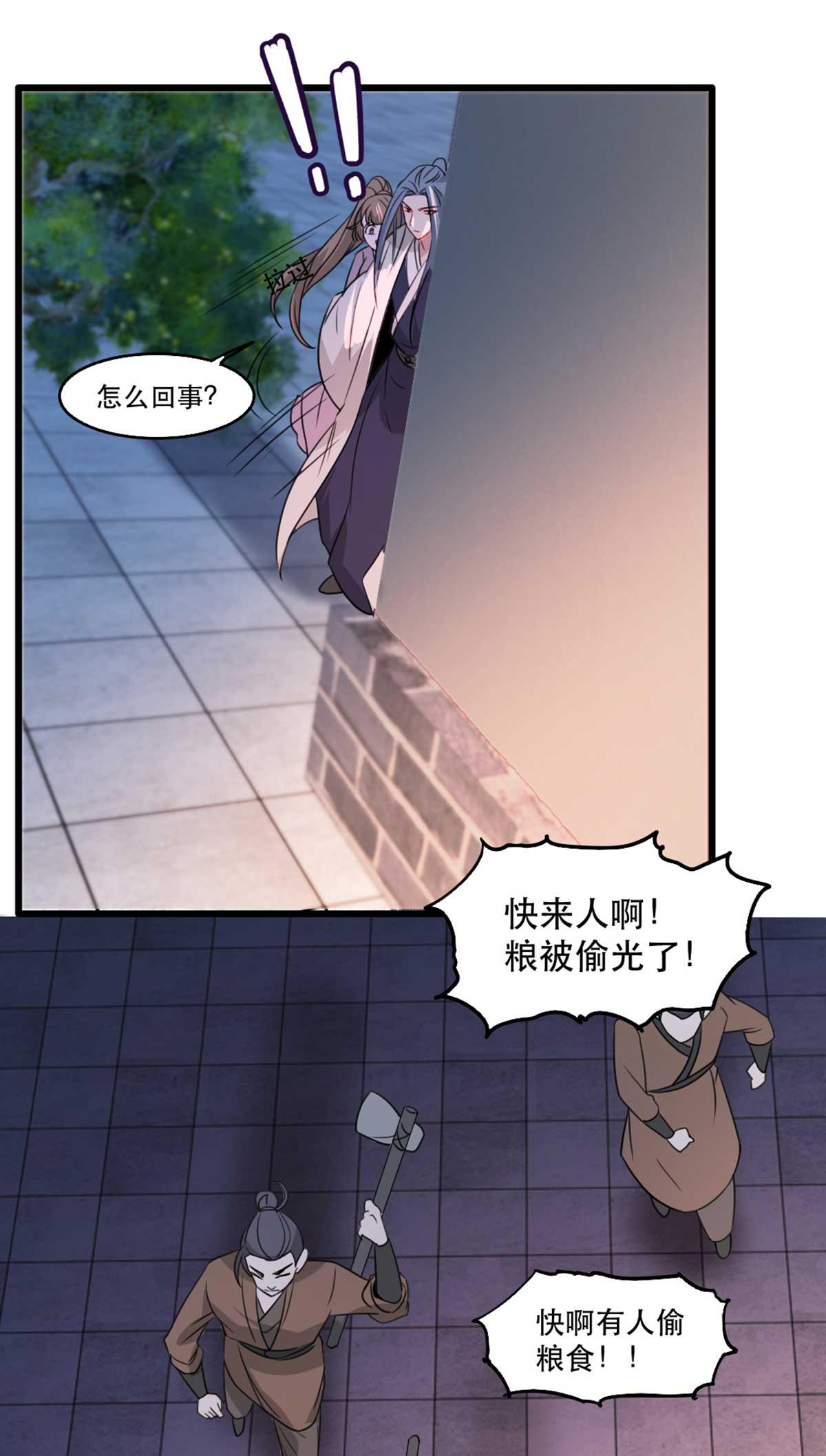 11.jpg