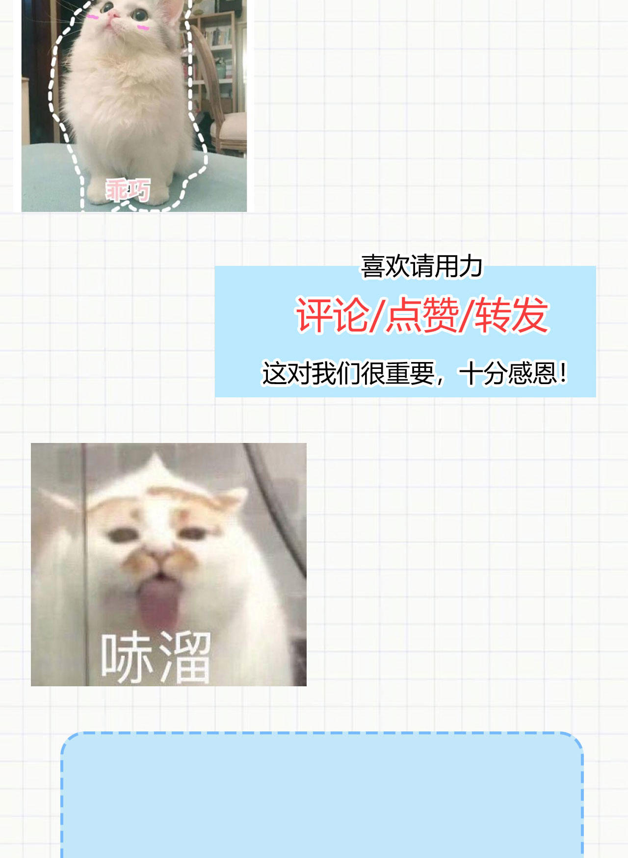 58.jpg
