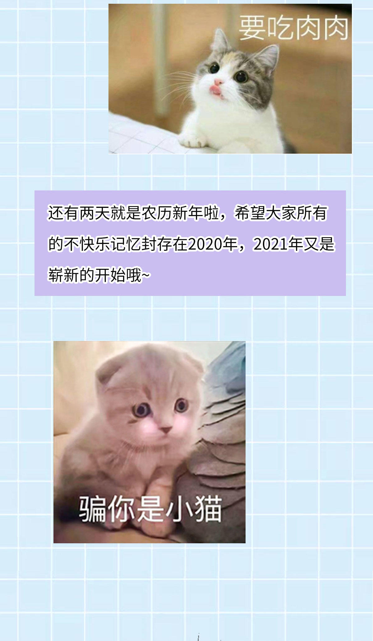 58.jpg