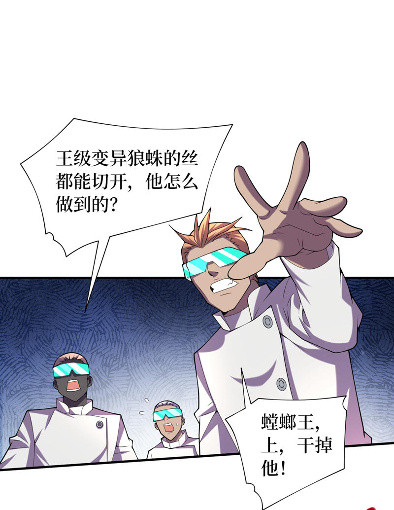 13.jpg